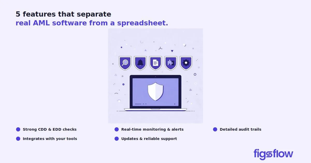 An infographic highlighting features that distinguish real AML software from spreadsheets.
