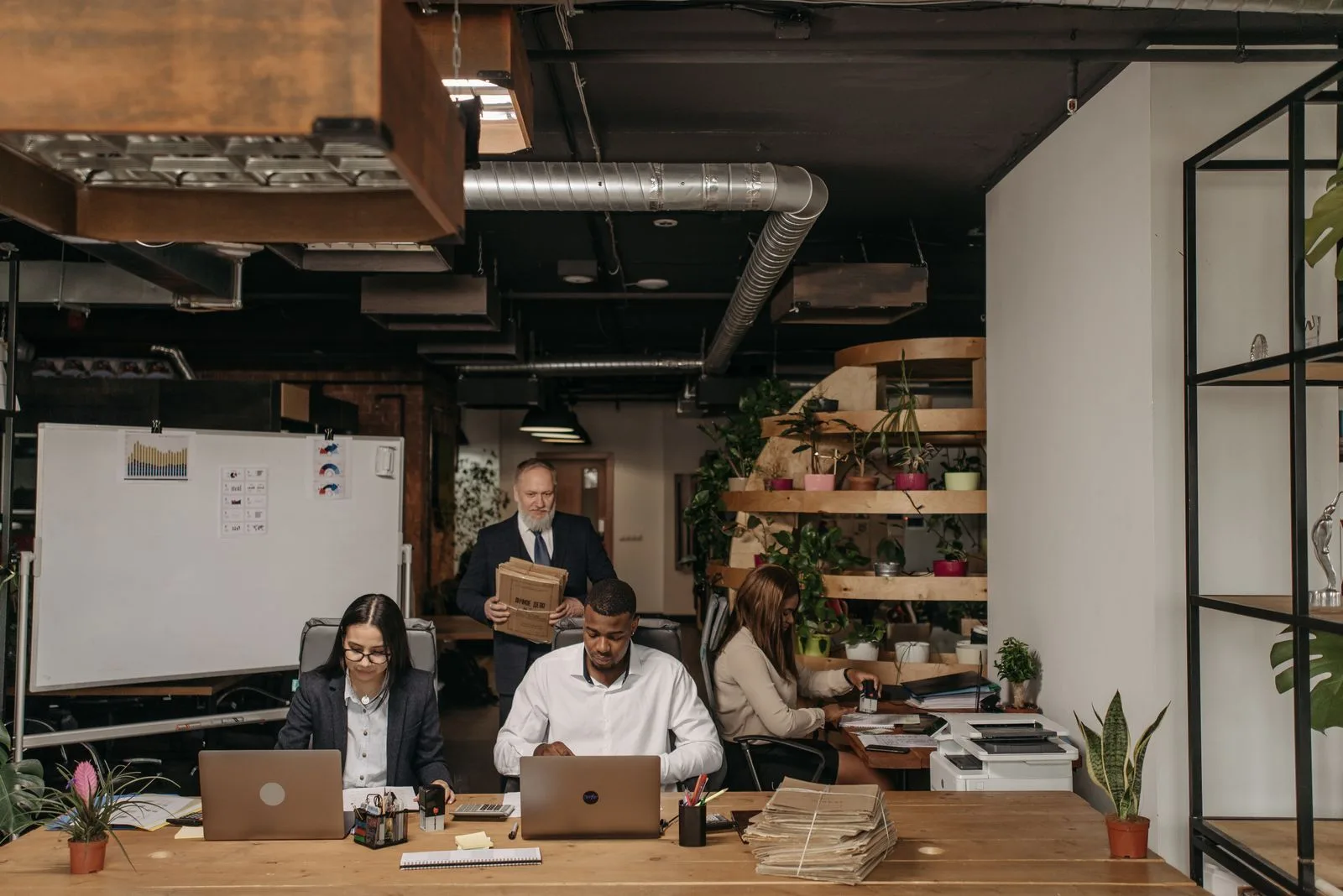 Accountants working on laptops and documents in an open-plan practice office