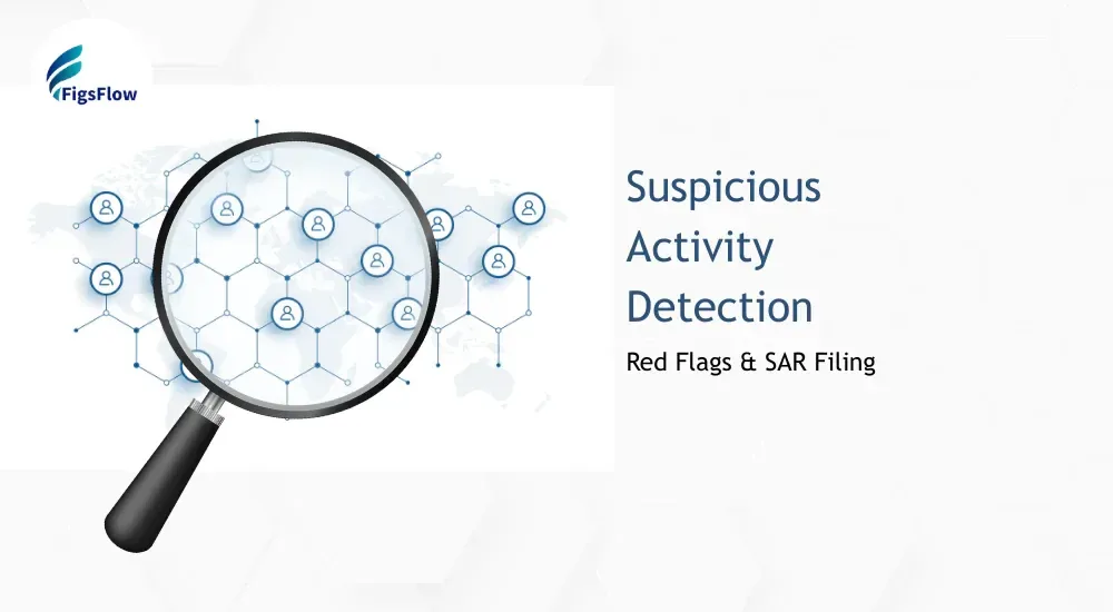 How Accountants Can Identify and Report Suspicious Activity