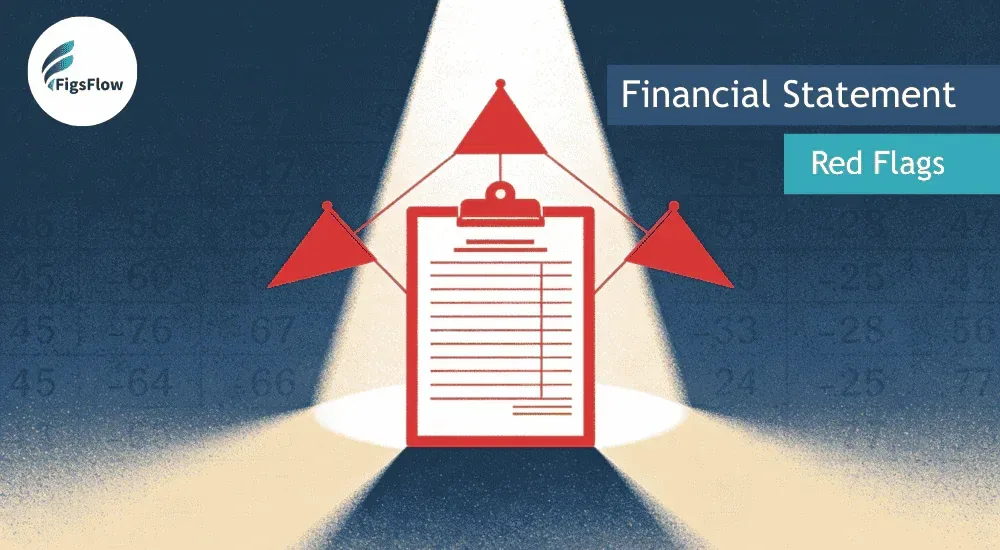 Red Flags in Financial Statements: Spotting Money Laundering Risks in the USA